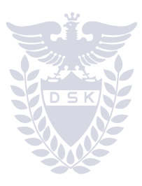 DSKロゴ
